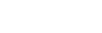 Wood System Italia Logo